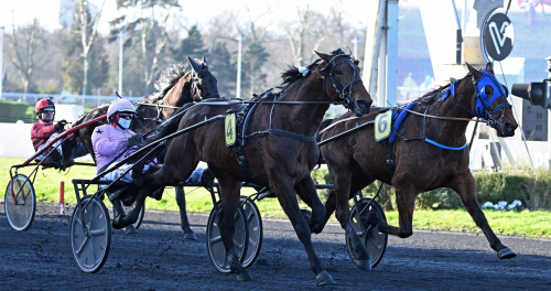 Knappt för Executiv Ek