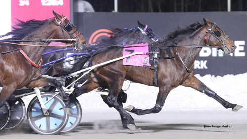 Ström-uppfödning i topp