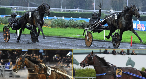 Blågul kvartett i farten