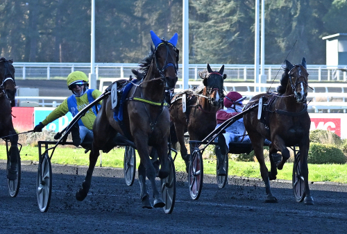 50-oddsare i Prix Paul Viel