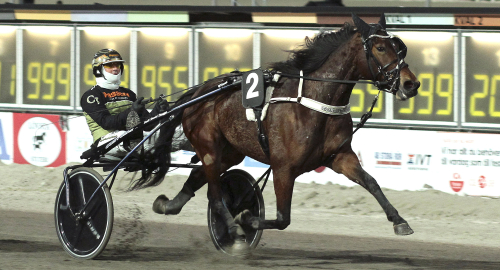 Full gas med Sainz Zon