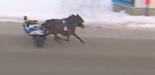 Segerns sötma för Candy Laday