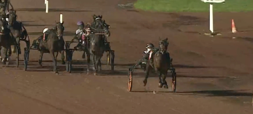 Lekstuga för Pure Atlas