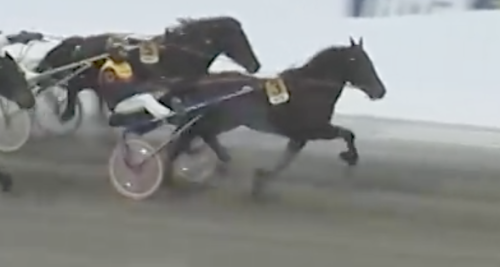 Med rikt blod i ådrorna