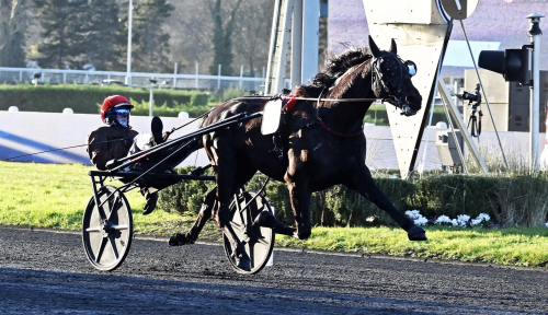 Maestro i Prix de Selection?