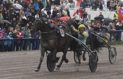 Trebol har vandrat vidare