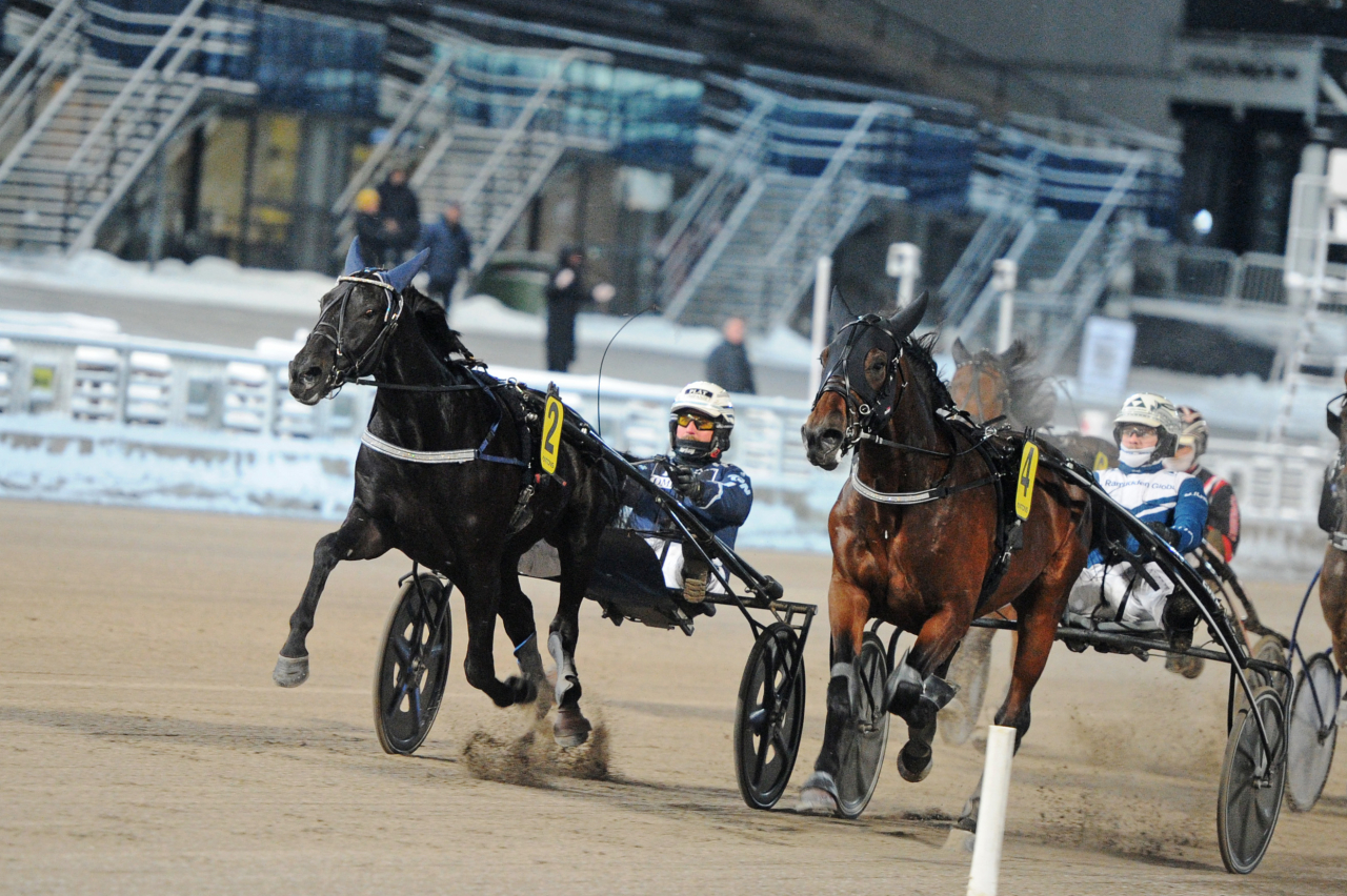 Transcutaneous och Peter G Norman ståtar med tre raka segrar. Foto: Adam Ström/stalltz.se