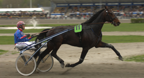 Beanie M.M. blev 23 år