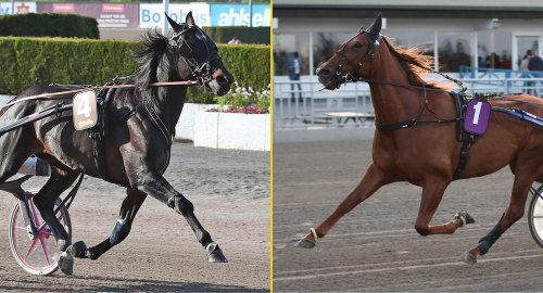 ”Han travar mycket bättre nu”