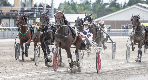 Klassisk vinnare i Westholm-debut