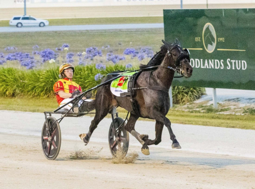 Rekordtid av Keayang Zahara