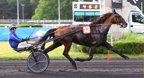 Han är dyraste nykomlingen