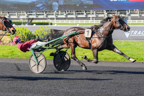 Jobspost till Elitloppet