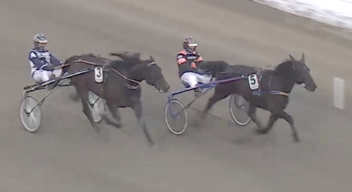 Olssons björnvinnare