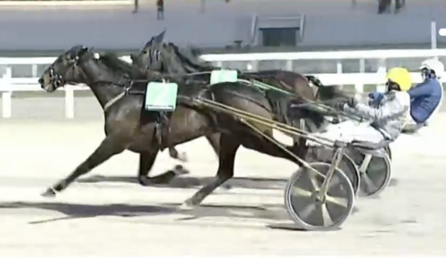 Fakir Roc tuffast i duell