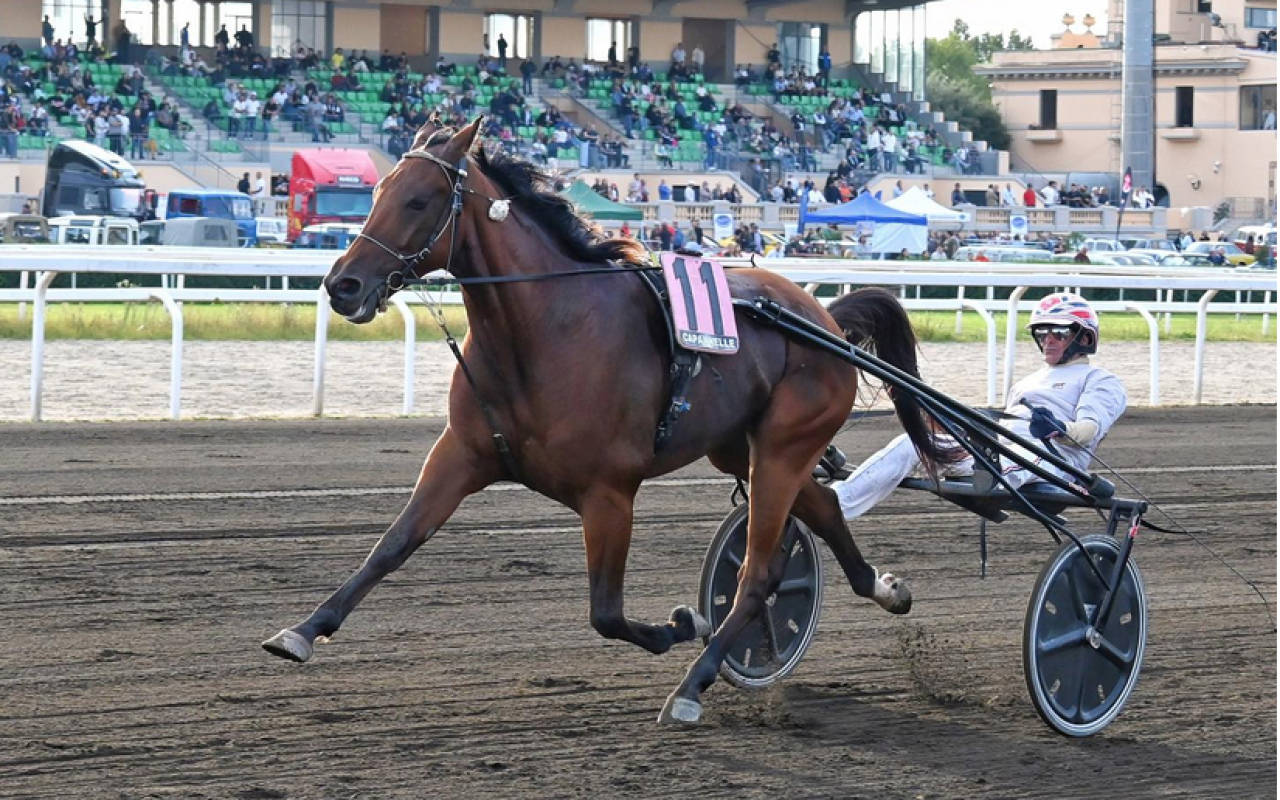 Dubhe Prav är den senaste vinnaren av Gran Premio Gaetano Turilli från 2025.