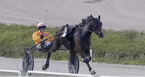 Debutseger för svenskfödd