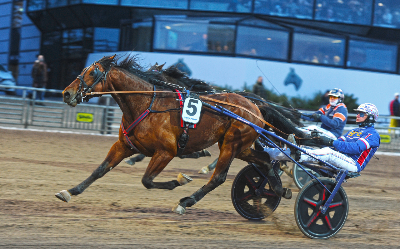 Staro Steven och Joakim Lövgren vann klass III-finalen på Solvalla. Foto: Adam Ström/stalltz.se