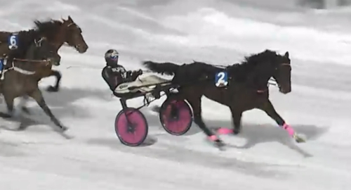 ”Lattjo när det kom en häst på utsidan”