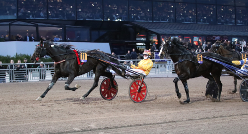 Diva Ek till Finlandia-Ajo