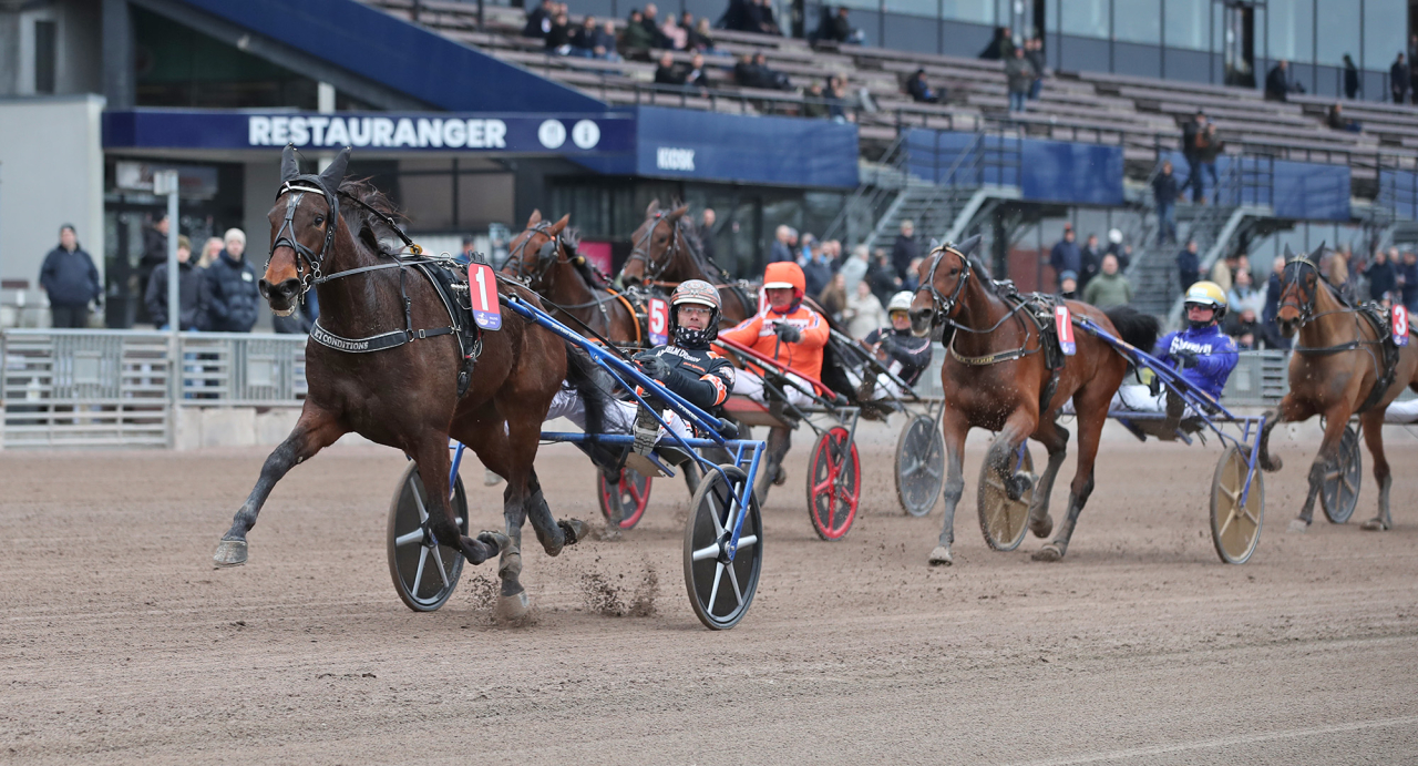 Icy Conditions och Claes Sjöström. Foto Mathias Hedlund/Sulkysport