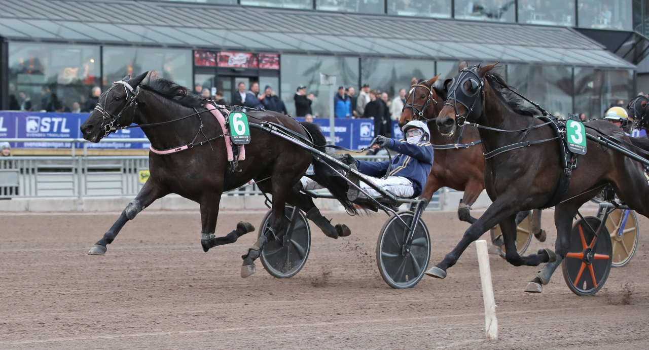 My Creation och Rikard N Skoglund. Foto Mathias Hedlund/Sulkysport