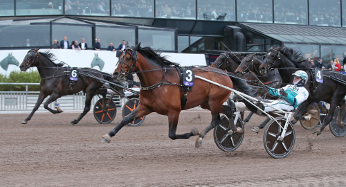 Wise Guy i Redén-debut