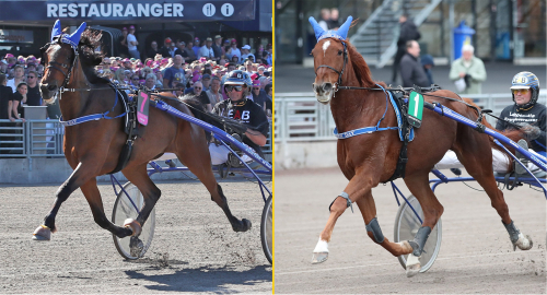 Dubbelt så bra i Halmstad