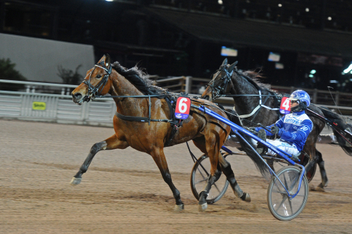 Årets snabbaste premiäretta