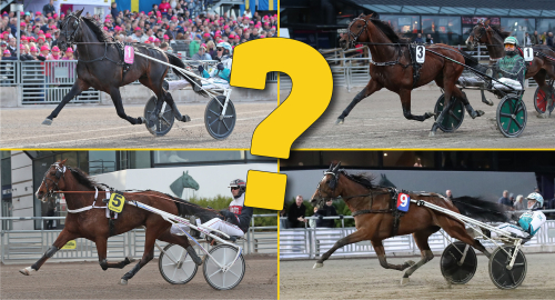 Vem blir Årets Häst ikväll?