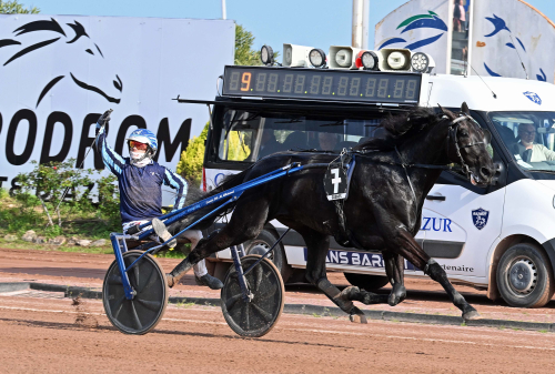 Abrivard om Elitloppet