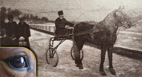 Grosshandlaren som vägrade sälja