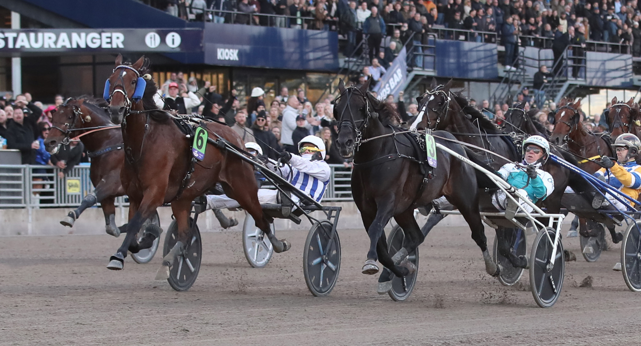Inexess Bleu vid segern i UET-finalen på Solvalla förra året. Foto Mathiaa Hedlund/Sulkysport