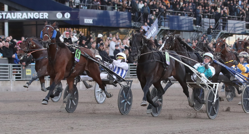 Fyra Elitloppshästar i Paris