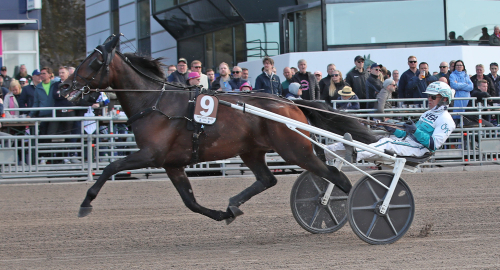 Trio till Oslo Grand Prix