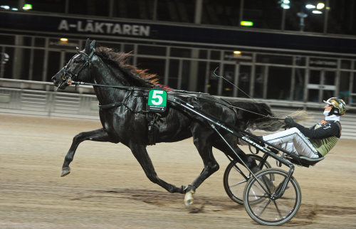 Kingen öppnade året i dur