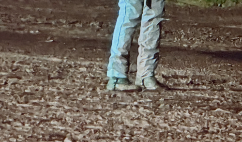 Inställt för Jobspost