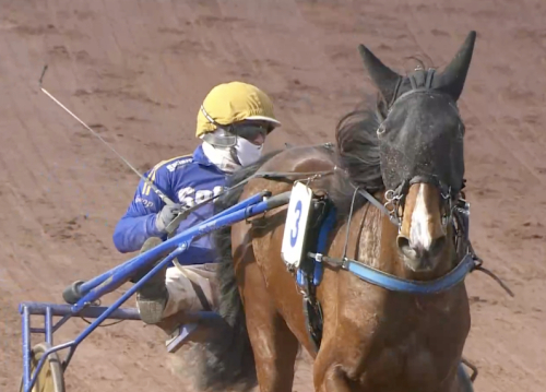 Goop-tränat etta i Chartres