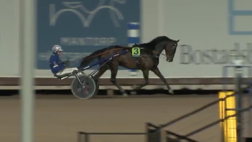 Derbyvinnare vann årsdebut