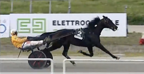 Maharajah-duo dominerade