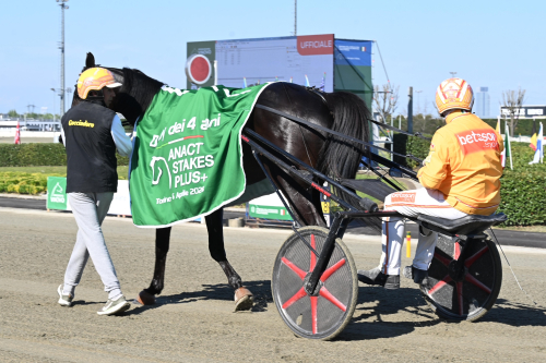 Gocciadoros starka facit