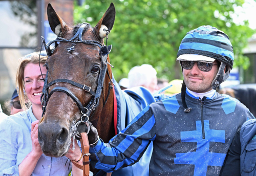 Pulsen stiger inför Elitloppet