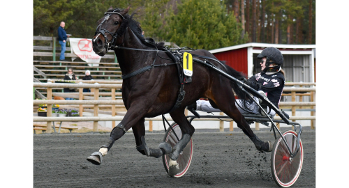 Yngsta segerkusken på 50 år