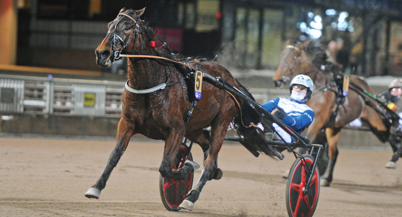 Celiaz och Magnus A Djuse. Foto: Adam Ström/stalltz.se