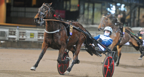 V85-jackpot: Experternas bästa drag