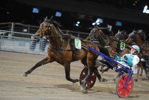 Uppvisning av City Slicker