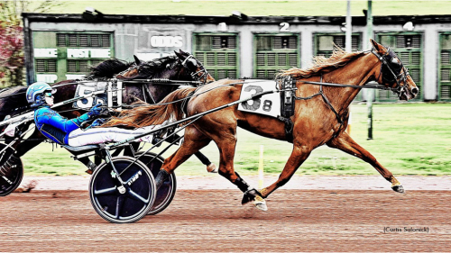 Fjärde raka för Concise