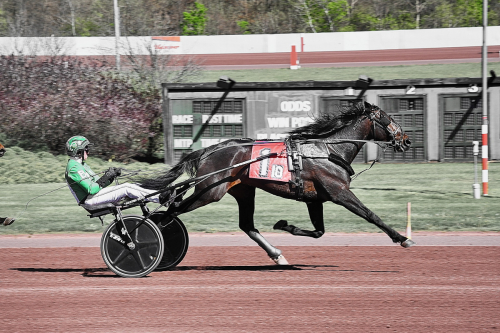 Favoritvinst i Bobby Weiss