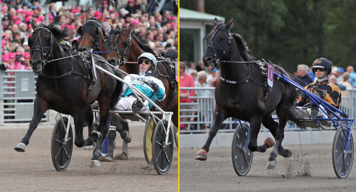 Det heta revanschmötet