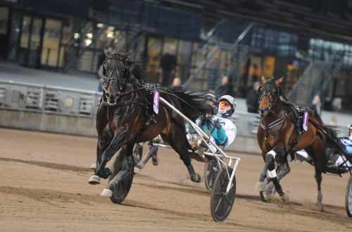 Enkelt för Don Fanucci Zet